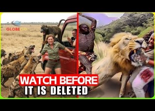 Incredible African Safari Trips Incidents You Wouldn T Believe Without Video Documentary