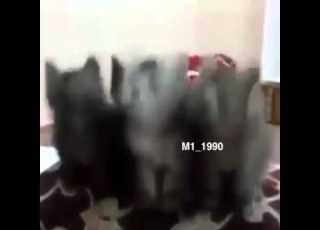 شيلة مرحبا والنور فلاج الظلام