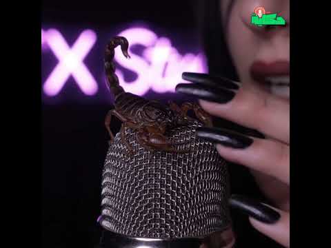 أصوات ت هدئ روحك ASMR استرخاء النوم والسكينة 1