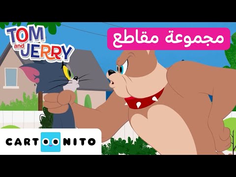 توم وجيري مجموعة من المقاطع المميزة سبايك ضد توم كارتونيتو