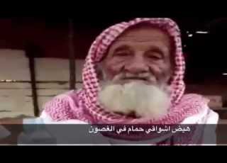 قصيدة شيب يلتزم سمعها