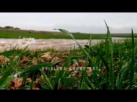 رسيني ع مر العمر اللي جايي مسلسل مافيي حالات واتس اب المخرجة رشا شربتجي حالات واتس اب معتصم النهار