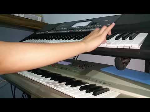 عزف اكرهها ميار فودي كاظم الساهر