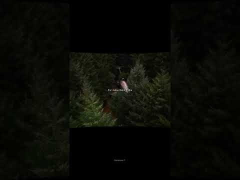 Hangover Slowed Reverb Kick Salman Khan Sherya Ghoshal Meet Bros Anjjan Lyricssayss