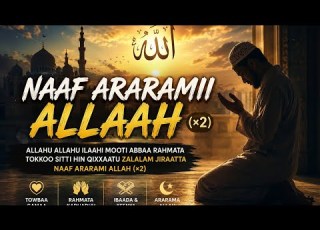  Naaf Araarami Yaa Allah Oromo Nasheed 2026 Amharic Neshida 2026