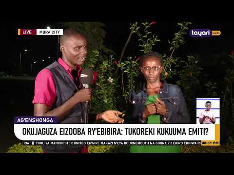 AGENSHONGA OKUJAGUZA EIZOOBA RY EBIBIRA TUKOREKI KUKUMA EMITI