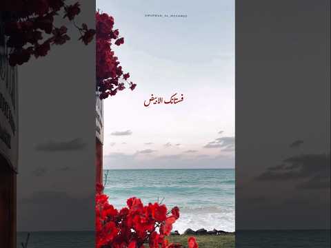 فستانك الأبيض حسين الجسمي الجسمي فستانك الابيض رومانسيه حب تصميمي تصويري تصميم فيديوهات فستانك الأبيض حسين الجسمي الجسمي فستانك الابيض رومانسيه حب تصميمي تصويري تصميم فيديوهات