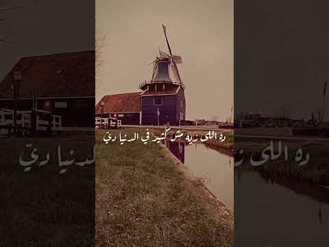 ريحة الحبايب عمرو دياب