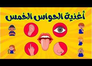  أغنية الحواس الخمس للأطفال تعلم الحواس بطريقة ممتعة Five Senses Song Arabic