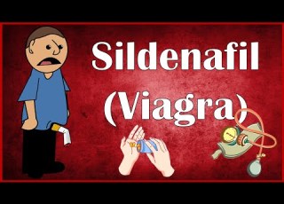 Sildenafil Viagra Uses Dosage Mechanism Of Action Pharmacokinetics Adverse Effects