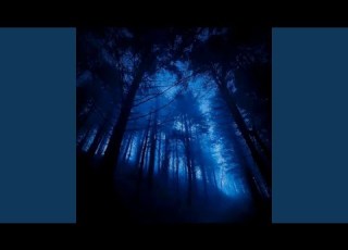 Illusionary Daytime X Trackmaker