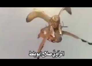 كبير قدرهن الراوي صلاح ابويلط