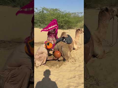 م ش ه د الد و ر ان ح و ل ال ج م ل