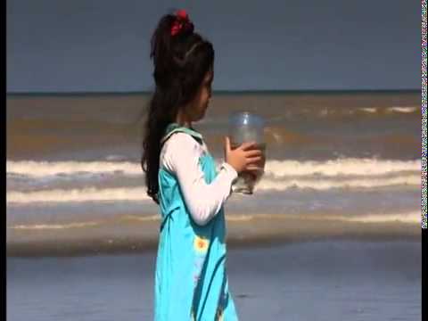 بعد از سالها سکوت شکسته شد اولین کلیپ سعید پور سعید بیا برگردیم پخش از موسسه صدای تهران بعد از سالها سکوت شکسته شد اولین کلیپ سعید پور سعید بیا برگردیم پخش از موسسه صدای تهران