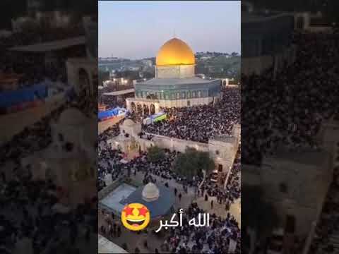 نحن جندك يامحمد كبرو