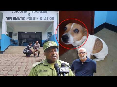 MBWA WA RAIA WA SWEDEN ALIYEPOTEA ARUSHA APATIKANA ALIUZWA LAKI 2 DADA APEWA LAKI 9 BAADA YA KUMPATA