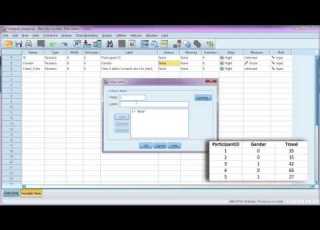 Enter Data And Define Variables In SPSS