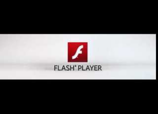 Adobe Flash Player Animation Logo