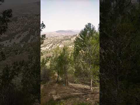 حزين تبكي من جواك