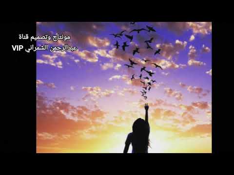 شيلة روحت مع مهب الريح