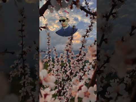 عليك أن تبدأ من جديد متوكل ا على الله في كل مرة يوهمك الشيطان فيها أنك انتهيت محمود أبوشعيشع عليك أن تبدأ من جديد متوكل ا على الله في كل مرة يوهمك الشيطان فيها أنك انتهيت محمود أبوشعيشع