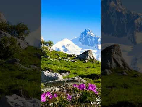 دعاء يارب فقد فسد الزمان نجني فقد عجز الطبيب داوني يارب بصوت محمد محمود الطبلاوي رحمه الله دعاء يارب فقد فسد الزمان نجني فقد عجز الطبيب داوني يارب بصوت محمد محمود الطبلاوي رحمه الله