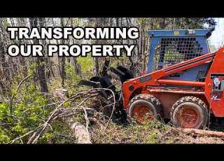 Reclaiming My Property From The Woods With A Skid Steer