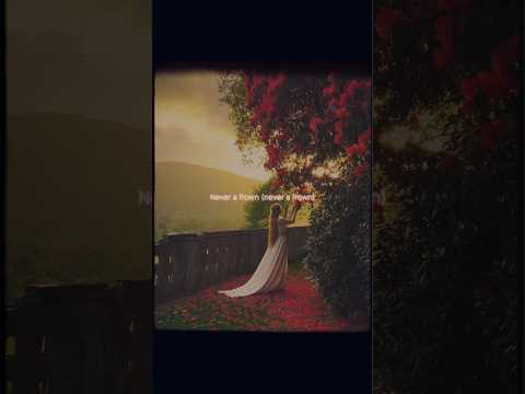 Golden Brown The Stranglers