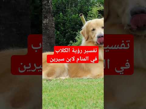 تفسير رؤية الكلب في المنام لابن سيرين تفسير رؤية الكلب في المنام لابن سيرين