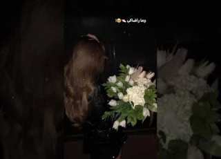 انثى وفيكي الشدة تلين حالات واتس حب عشق ستوريات حب Saraa حالات واتس حب