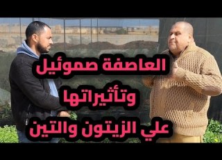  العاصفة صموئيل ٢٥ مارس ٢٠٢٦ وتأثيراتها علي الزيتون والتين في مطروح