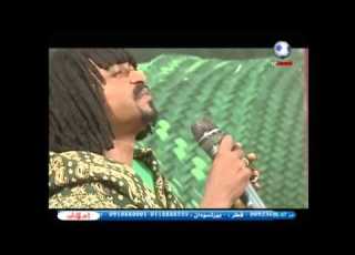 محمد حسن الماحي حاوي نوادر