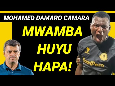 DAMARO CAMARA Mwamba Huyu Hapa Hivi Ndivyo Anavyoipa Jeuri Yanga Eneo La Kati