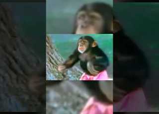 TODAY ON POWER RANGERS A Chimp In Charge Aired 11 18 95 MightyMorphin PowerRangers