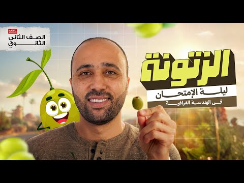 الصف الثاني الثانوي ليلة الامتحان فراغية الزتونه ليلة الامتحان فراغيه الزتونه الصف الثاني الثانوي ليلة الامتحان فراغية الزتونه ليلة الامتحان فراغيه الزتونه