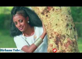 ላልዬ ወሎ ባህላዊ ሙዚቃ Eethiopian Wello Best Music