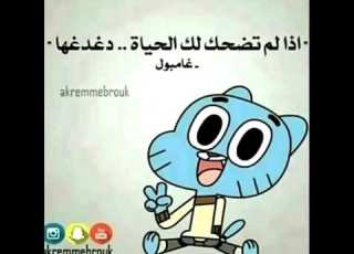  فديت غامبول منو يحب غامبول اني اموت عليه الوصف