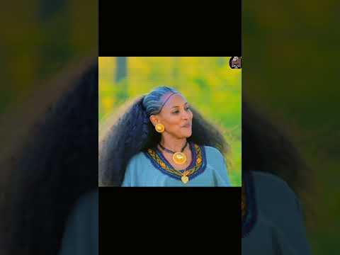 ዛንፋላየ New Ethiopian Music 2026 Official Video