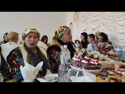 А калина не верба Слова пісні Марії Василівни Григорій Виконує колектив Калинчині дівчата