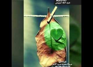 كيف ك ـ ان الـ ـنـﷺـ ـبي شـــاهـد اجمل مقولات لا الشيخ عبـداللـه تـريـس