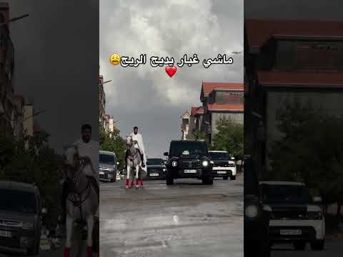 Mariage Algerien Sétif 2024 Mariage Algerie 2024 Cortège Mariage Algerien Sétif 2024 Mariage Algerie 2024 Cortège