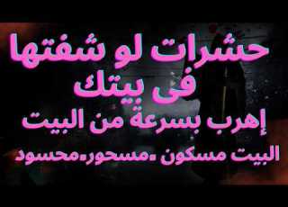  5حشرات لو رائيتها فى البيت أعرف إن هذا البيت مسكون أو مسحور أو محسود كارثة ظهور هذة الحشرات فى البيت