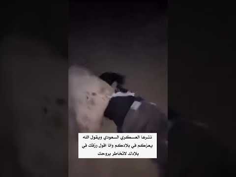 مخاطر التهريب حدود اليمن والسعوديه كل يوم يموت واحد