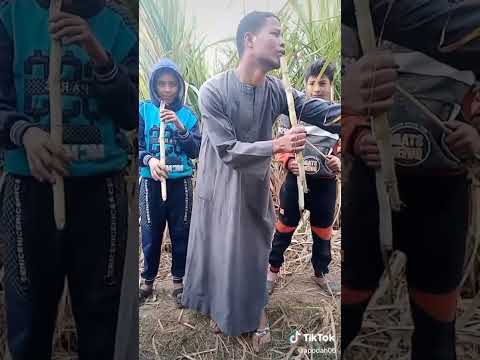 احلي فريق اوتار الليل الموسيقيه