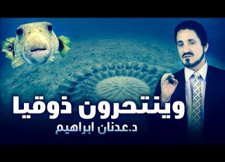 الدكتور عدنان ابراهيم L وينتحرون ذوقيا