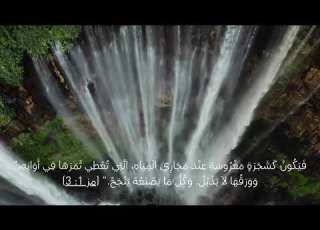 كشجرة مغروسة عند مجاري المياه مزمور 1 3