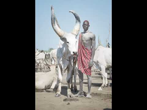 Achiek Geng From Pap