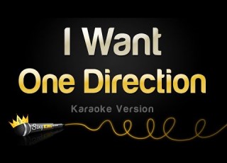  One Direction I Want Karaoke Version