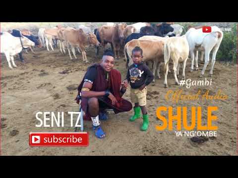 SHULE YA NG OMBE LIMBU LUCHAGULA GUEST YA GAMBI 2025 MSAMBAZAJI SENI TZ SHULE YA NG OMBE LIMBU LUCHAGULA GUEST YA GAMBI 2025 MSAMBAZAJI SENI TZ