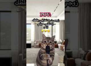  مستحيل نعترف Explore ابلور كوميديات Cat قطط Viral Funny Viralvideo Foryou رياكشن